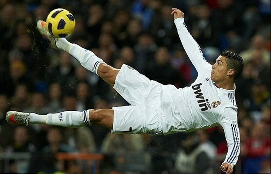 收获两枚奖 收获两枚奖